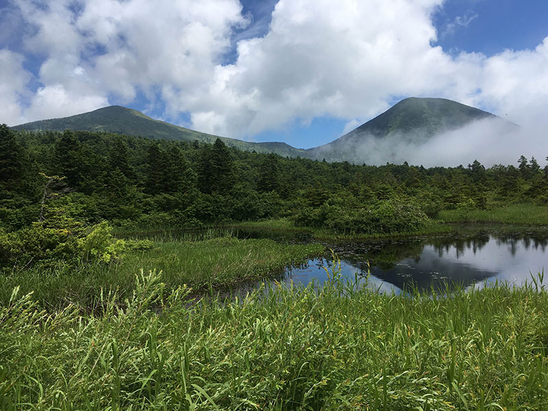 風景