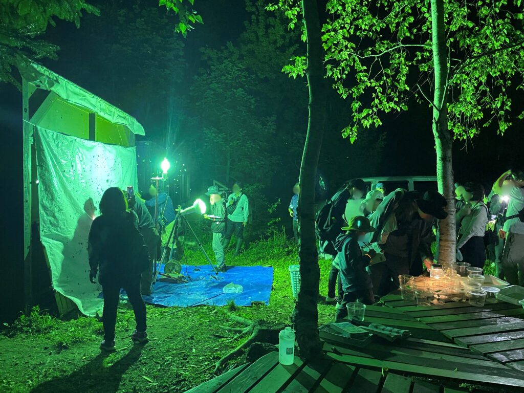 えこさぽ活動報告　～えこりん村イベント「夜の昆虫探し体験（ナイトツアー）」～